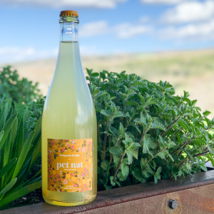 Product image for Benjamin Bridge Pet Nat