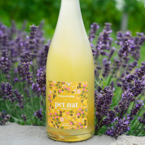 Product image for Benjamin Bridge Pet Nat