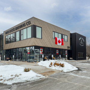 Product image for Nine Locks - Dirty Blonde 4pk