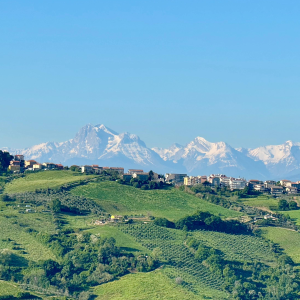 Product image for Amaro Meletti