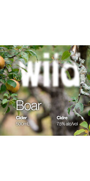 A product image for Wild Boar Cider