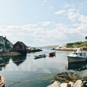 Product image for NS Spirit Co Blue Lobster Vodka 1.14L