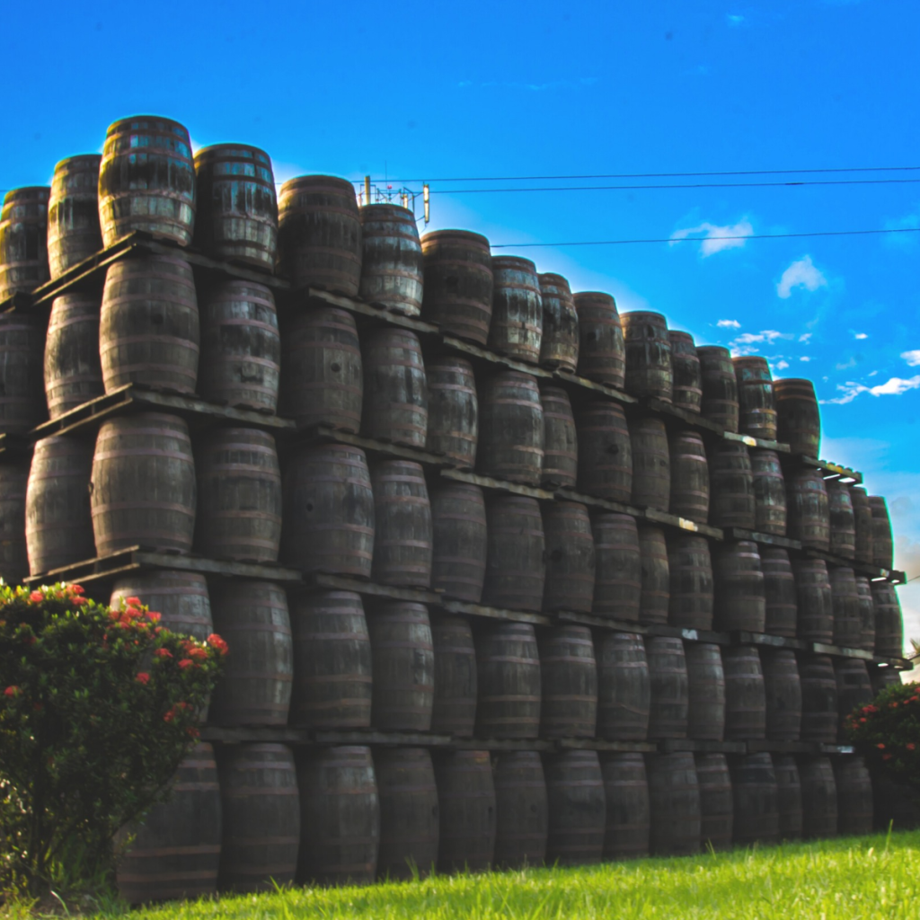 Product image for El Dorado 15 Year Old Demerara