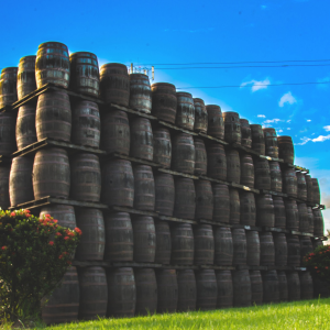 Product image for El Dorado 15 Year Old Demerara