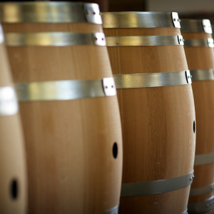 Product image for Louis Latour Pinot Noir