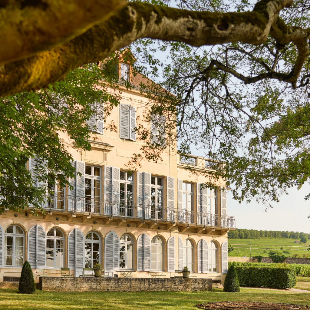 Product image for Louis Latour Pinot Noir