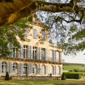 Product image for Louis Latour Pinot Noir