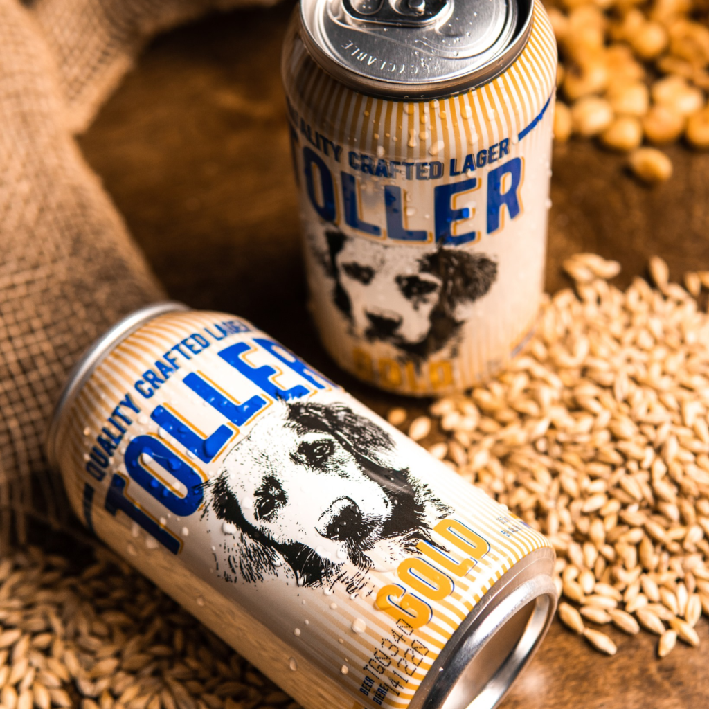 Product image for Burnside Brewing - Toller Gold Lager 12pk