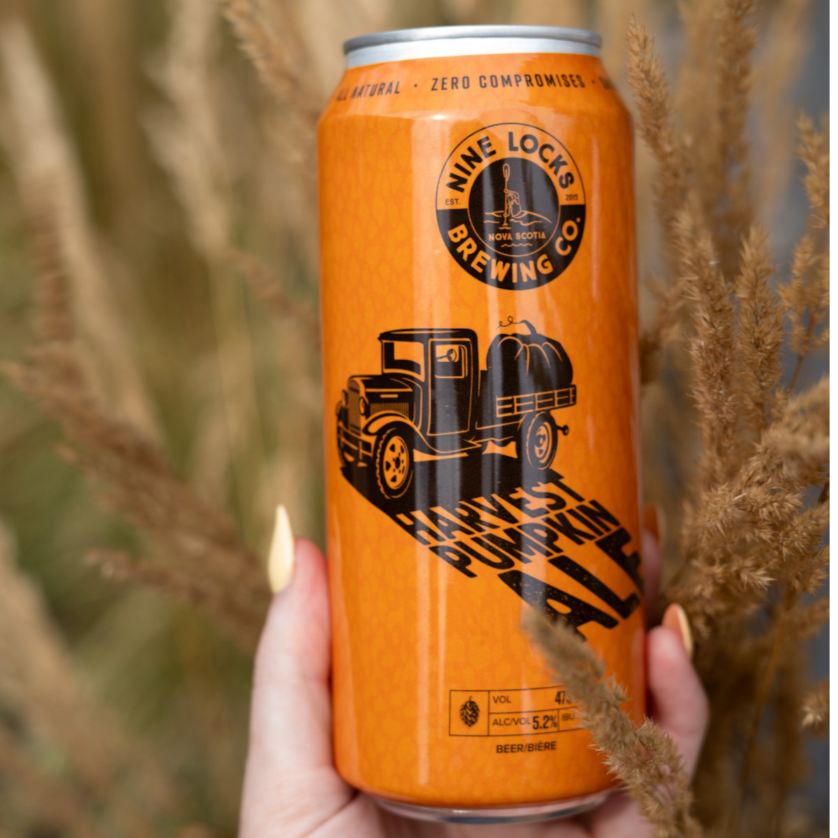 Product image for Nine Locks - Harvest Pumpkin Ale