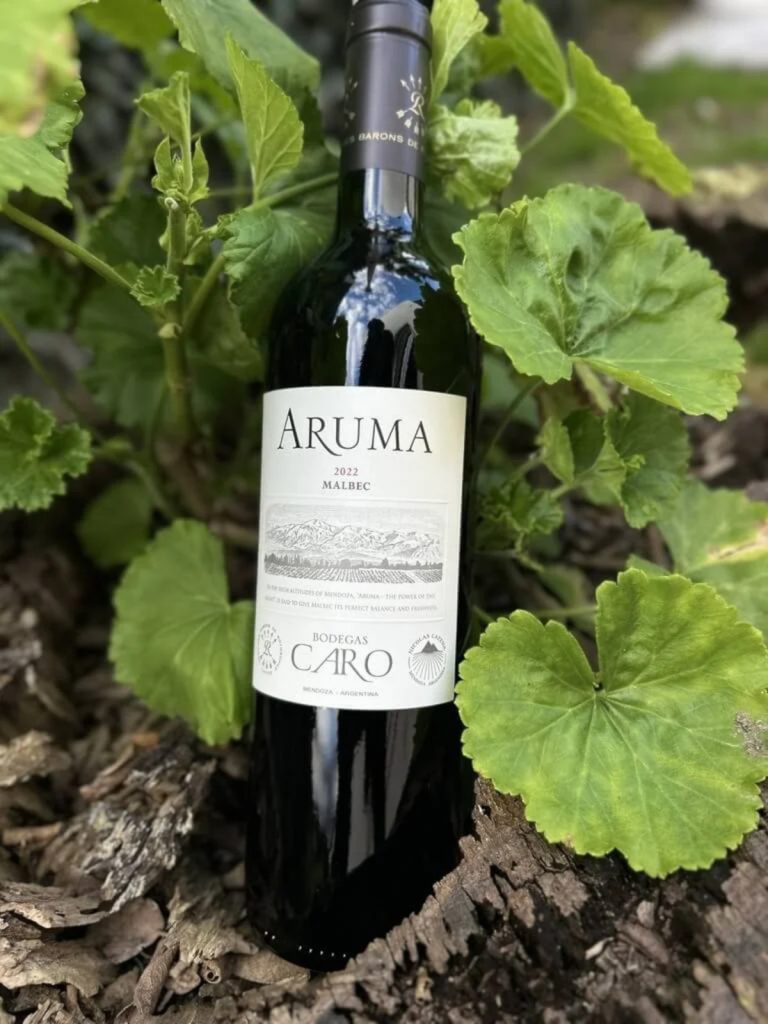 Product image for Aruma Malbec