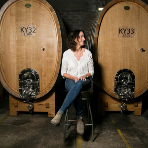 Product image for Carmen Gran Reserva Carmenere