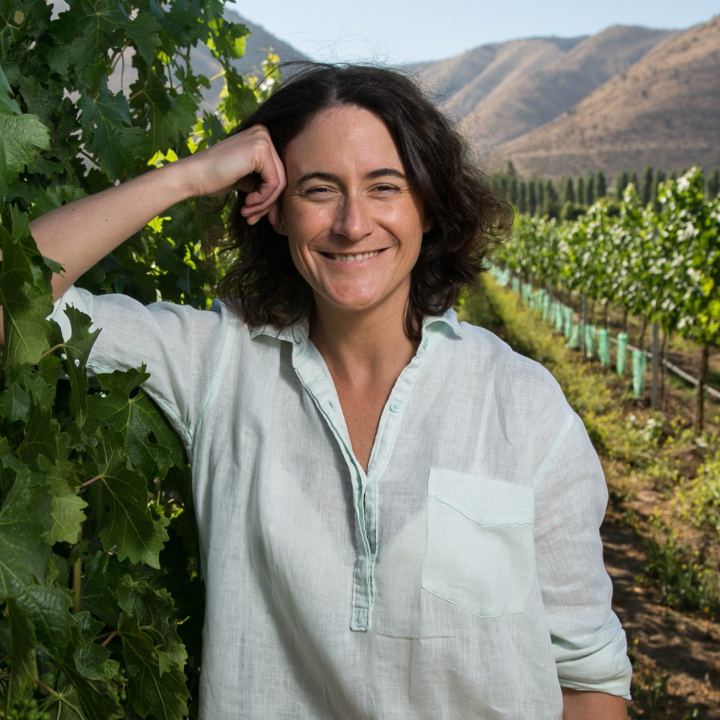 Product image for Carmen Gran Reserva Carmenere