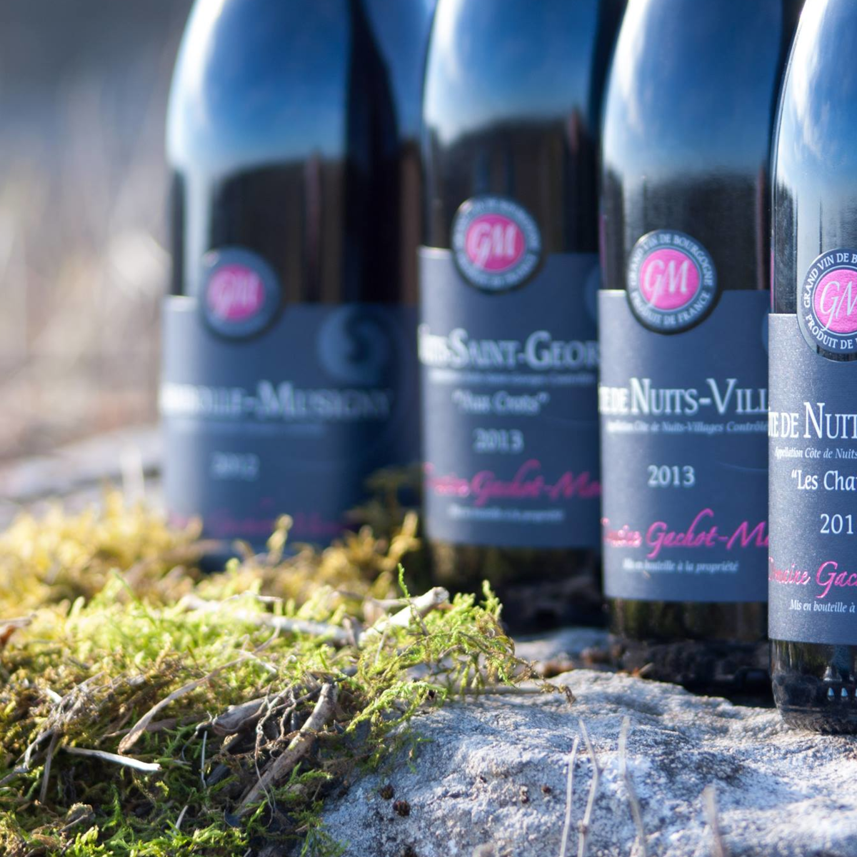 Product image for Gachot-Monot Bourgogne Hautes Cotes de Beaune