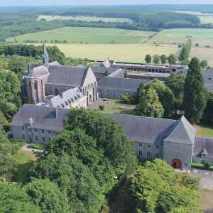 Product image for Chimay - Red (Dubbel)