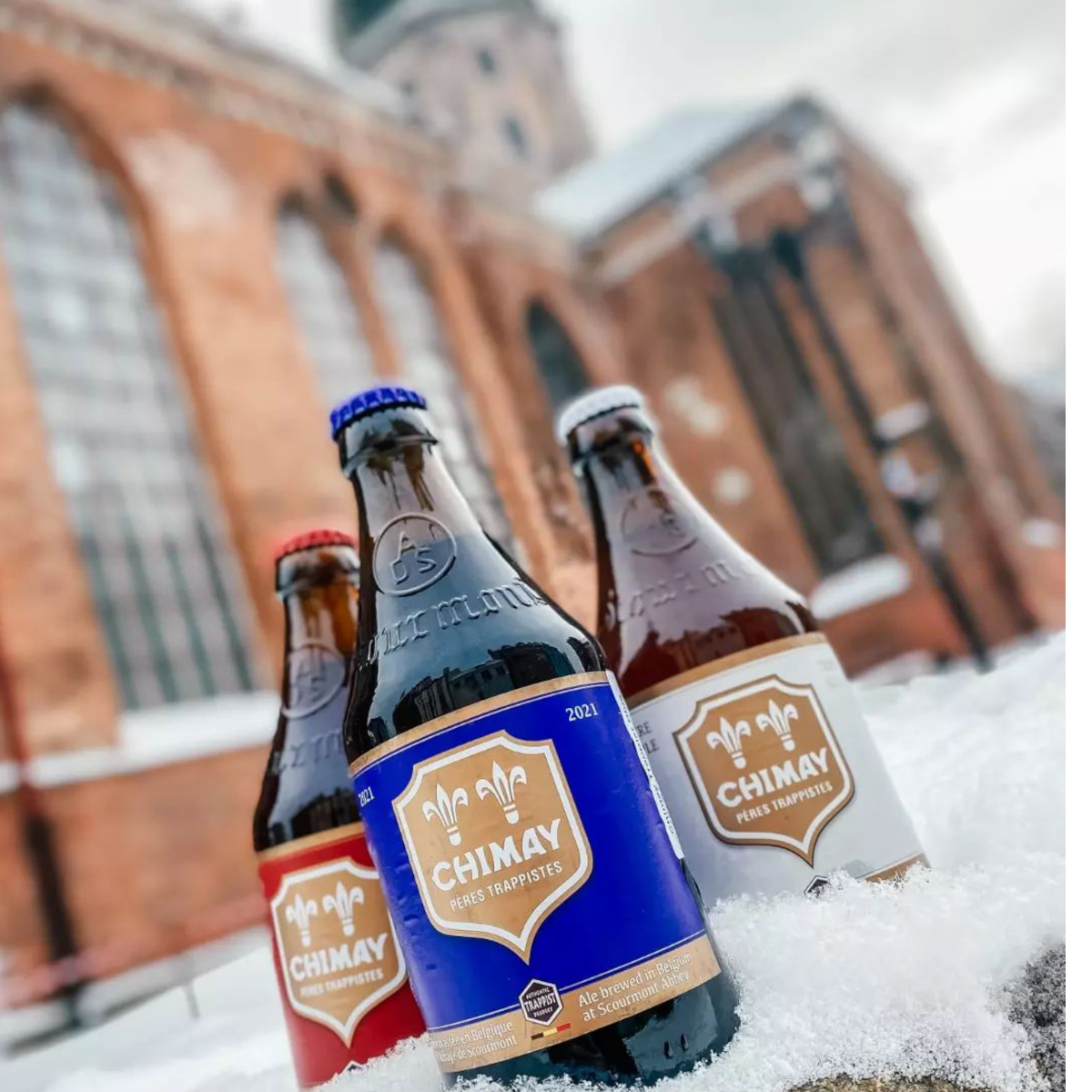 Product image for Chimay - Red (Dubbel)