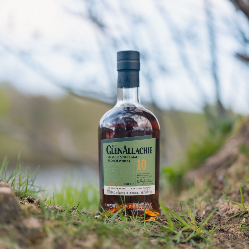 Product image for The GlenAllachie 10 Year Old Cask Strength