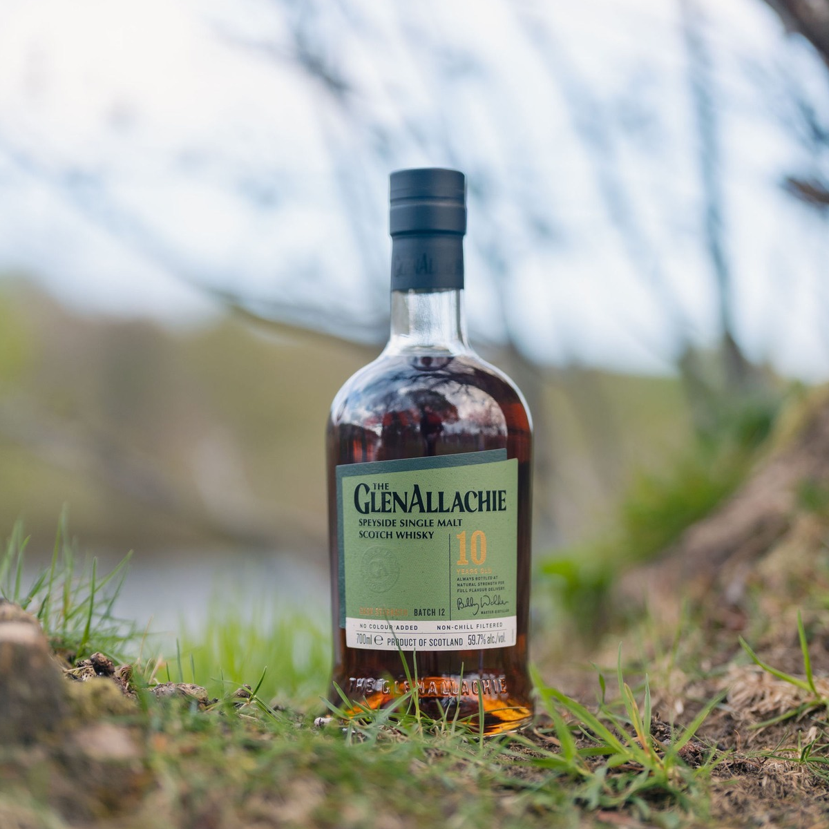 Product image for The GlenAllachie 10 Year Old Cask Strength