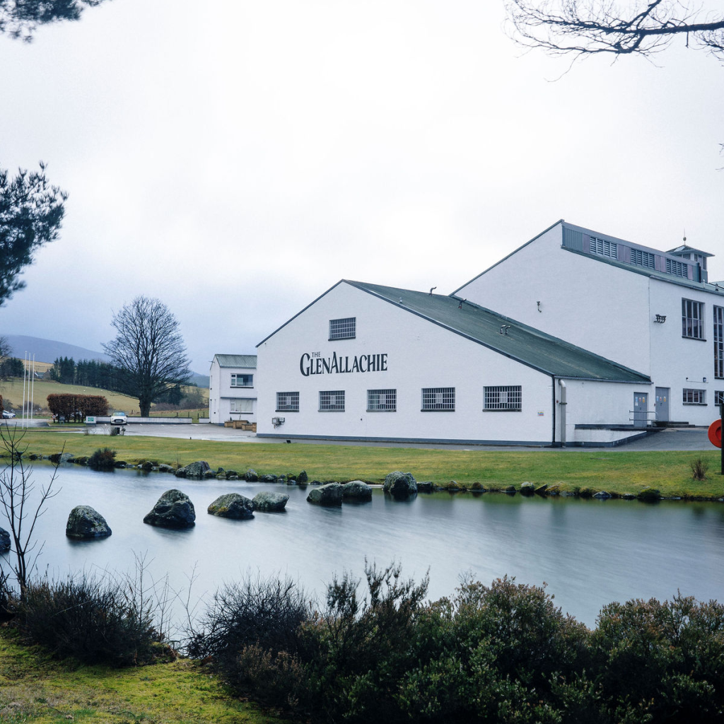 Product image for The GlenAllachie 10 Year Old Cask Strength