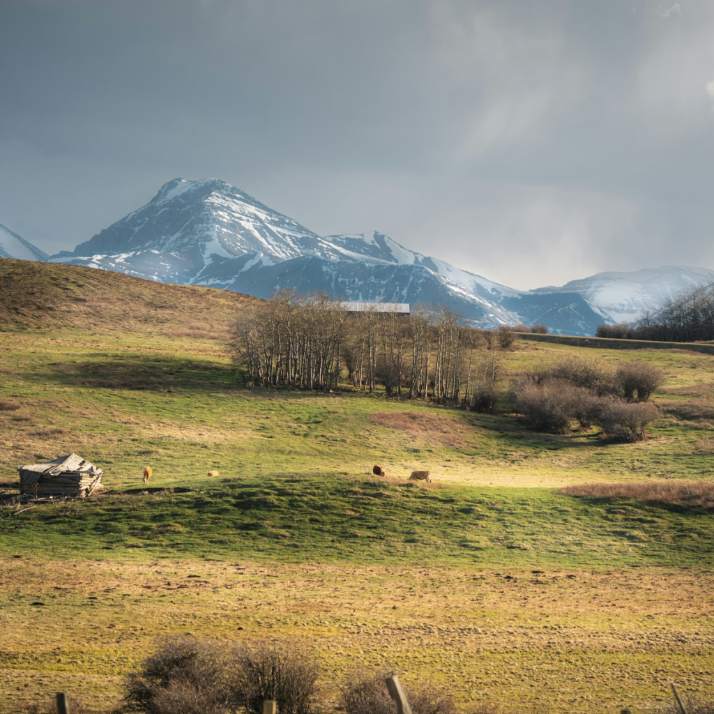 Product image for 5 Star Canadian Whisky 1.14L