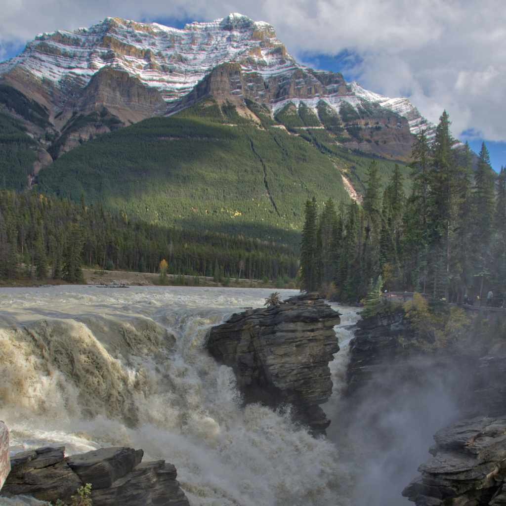 Product image for 5 Star Canadian Whisky 1.14L