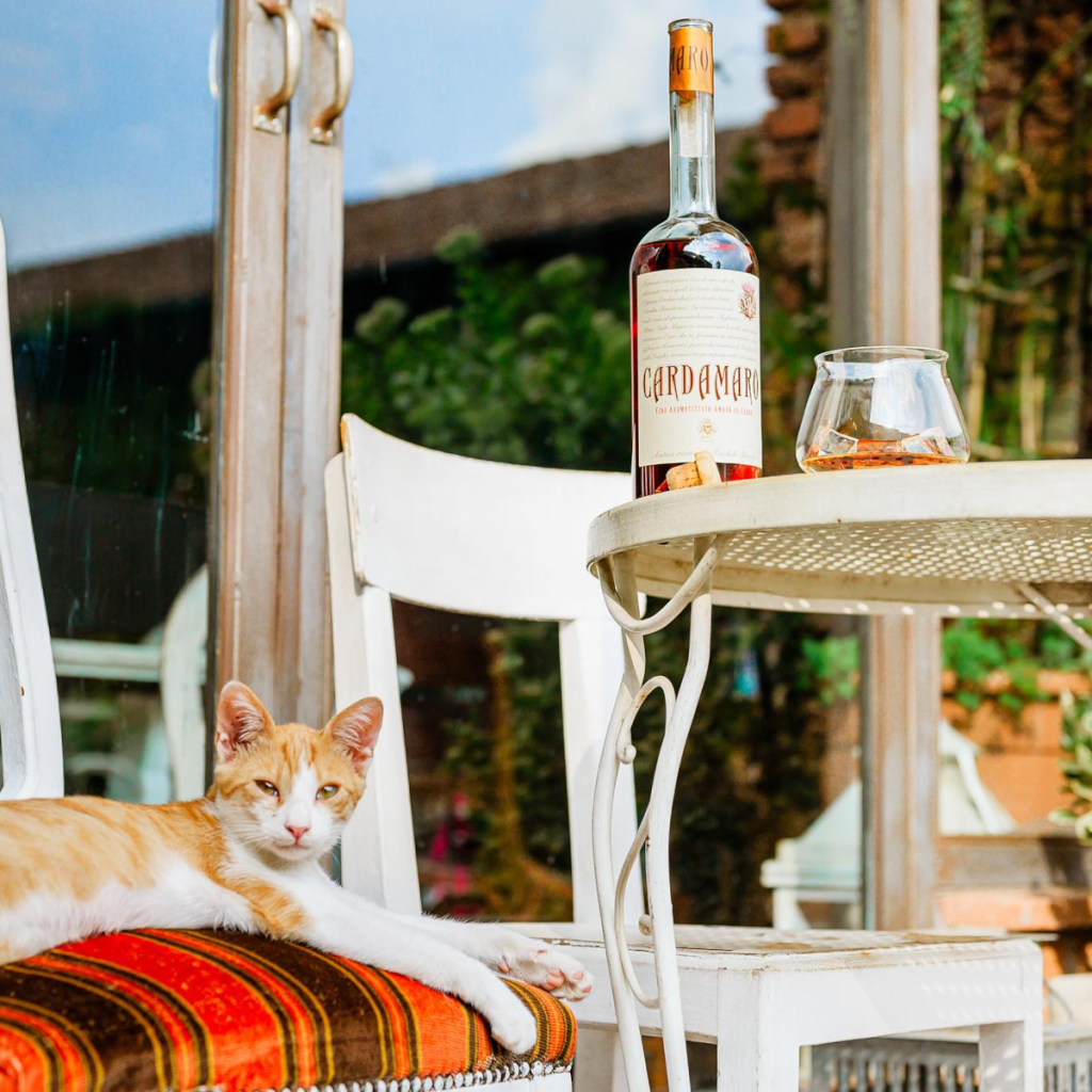 Product image for Cardamaro