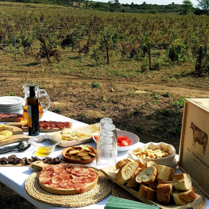 Product image for Torno El Ternero Crianza