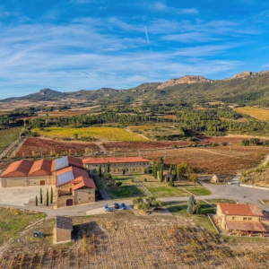 Product image for Torno El Ternero Crianza