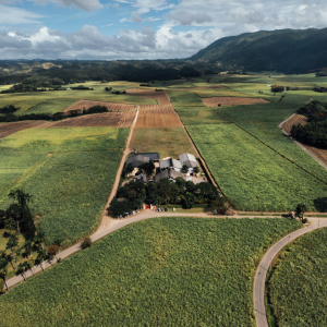 Product image for Worthy Park Single Estate Reserve