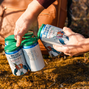 Product image for NS Spirit Co. - Blue Lobster Dragonfruit Vodka Soda 6pk