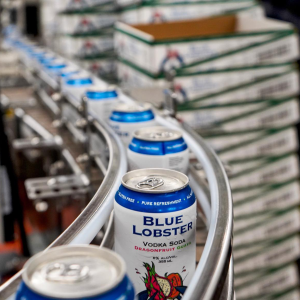 Product image for NS Spirit Co. - Blue Lobster Dragonfruit Vodka Soda 6pk