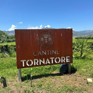 Product image for Tornatore Etna Rosso