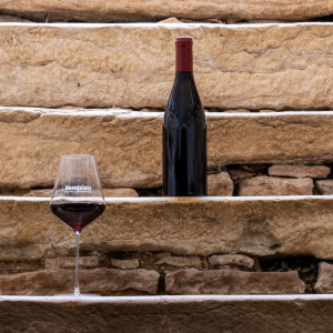 Product image for Domaine de la Madone Beaujolais Villages