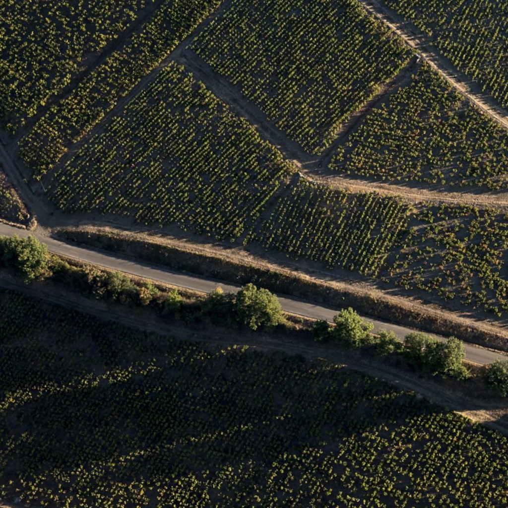 Product image for Domaine de la Madone Beaujolais Villages