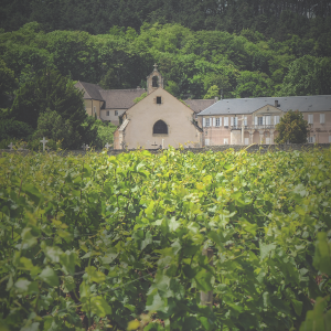 Product image for Jean-Marc Boillot Montagny 1er