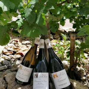 Product image for Jean-Marc Boillot Montagny 1er