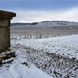 Product image for Jean-Marc Boillot Montagny 1er