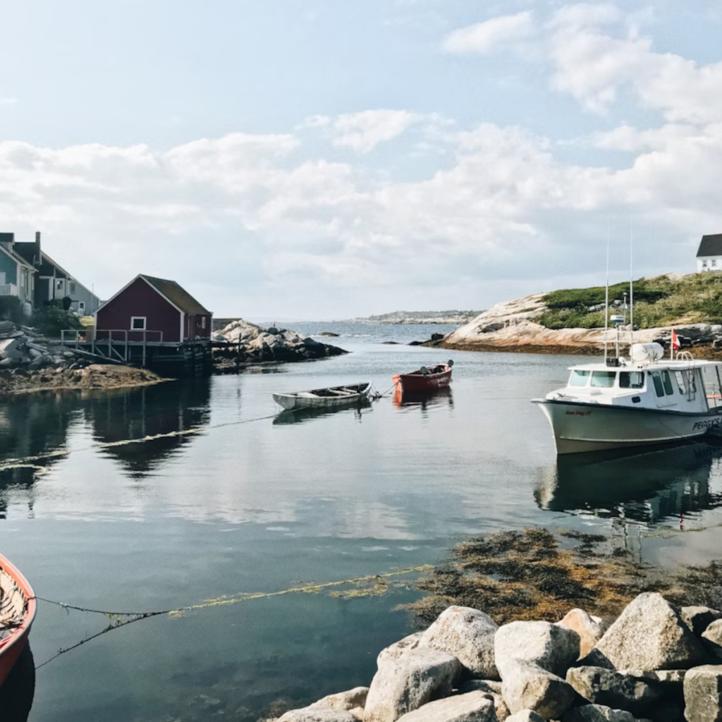 Product image for NS Spirit Co. Willing to Learn Gin 1.14L