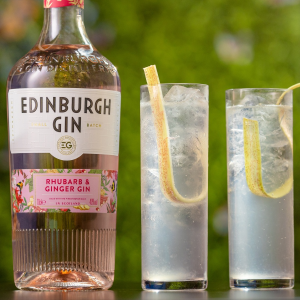 Product image for Edinburgh Rhubarb and Ginger Gin