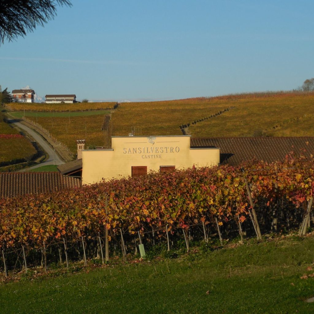 Product image for San Silvestro Barbera Appassimento