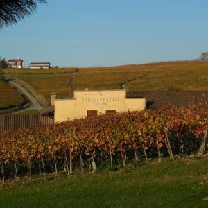 Product image for San Silvestro Barbera Appassimento