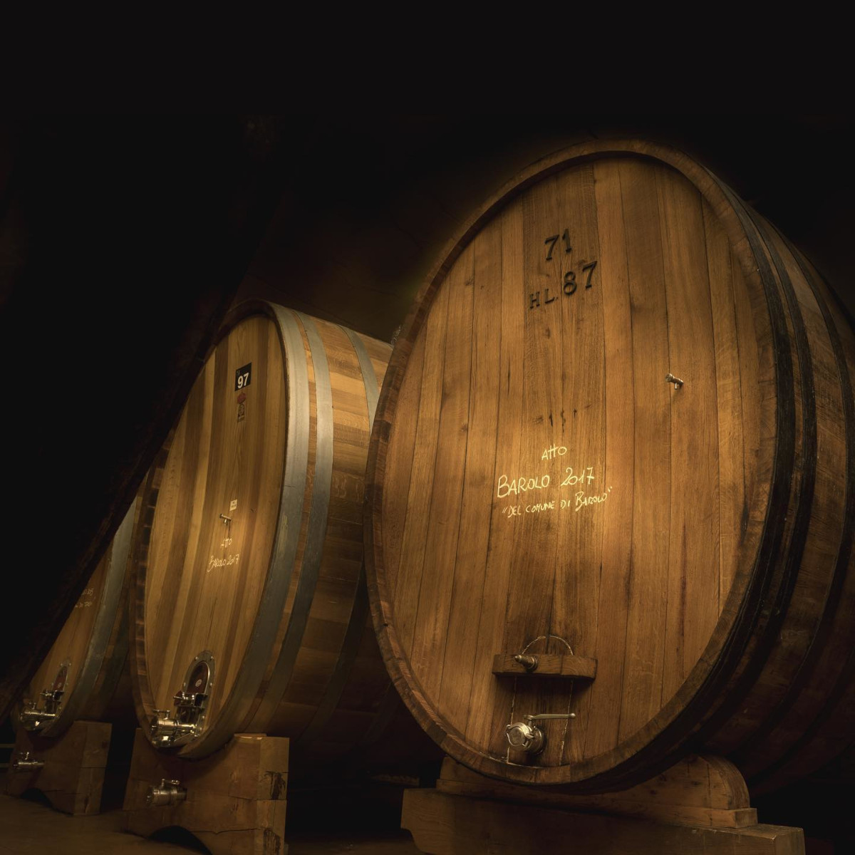 Product image for San Silvestro Barolo Patres