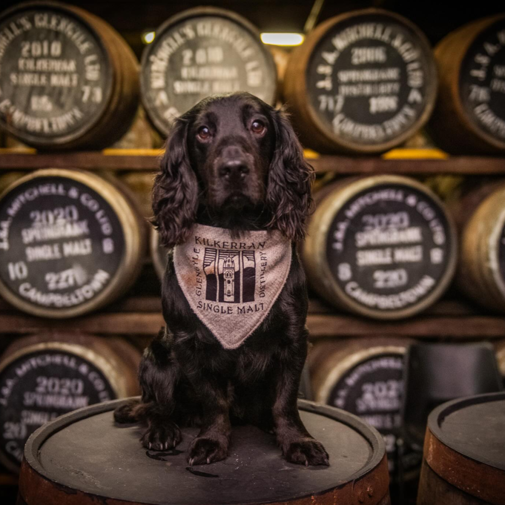 Product image for Kilkerran 16 Year Old Single Malt