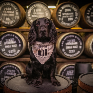 Product image for Kilkerran 16 Year Old Single Malt