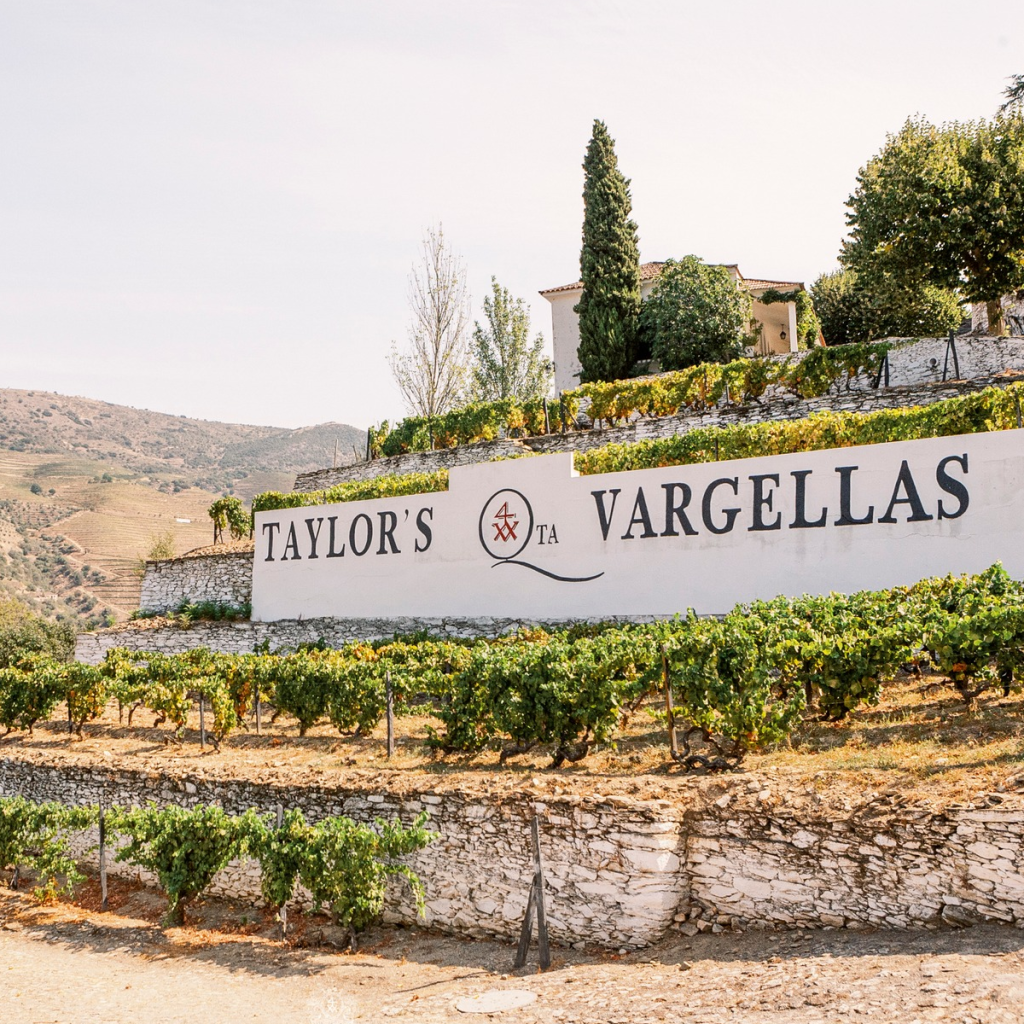 Product image for Taylor Fladgate 10 YO Tawny