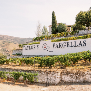 Product image for Taylor Fladgate 10 YO Tawny