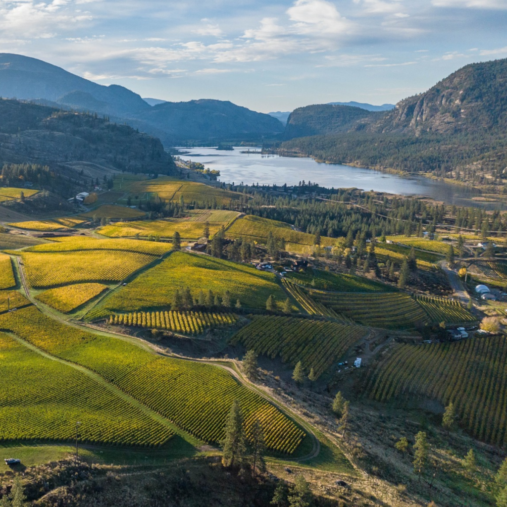 Product image for Blue Mountain Gold Label Brut