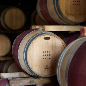 Product image for Brancaia Chianti Classico Riserva