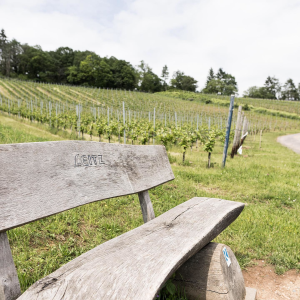 Product image for Leitz Eins Zwei ZERO Riesling