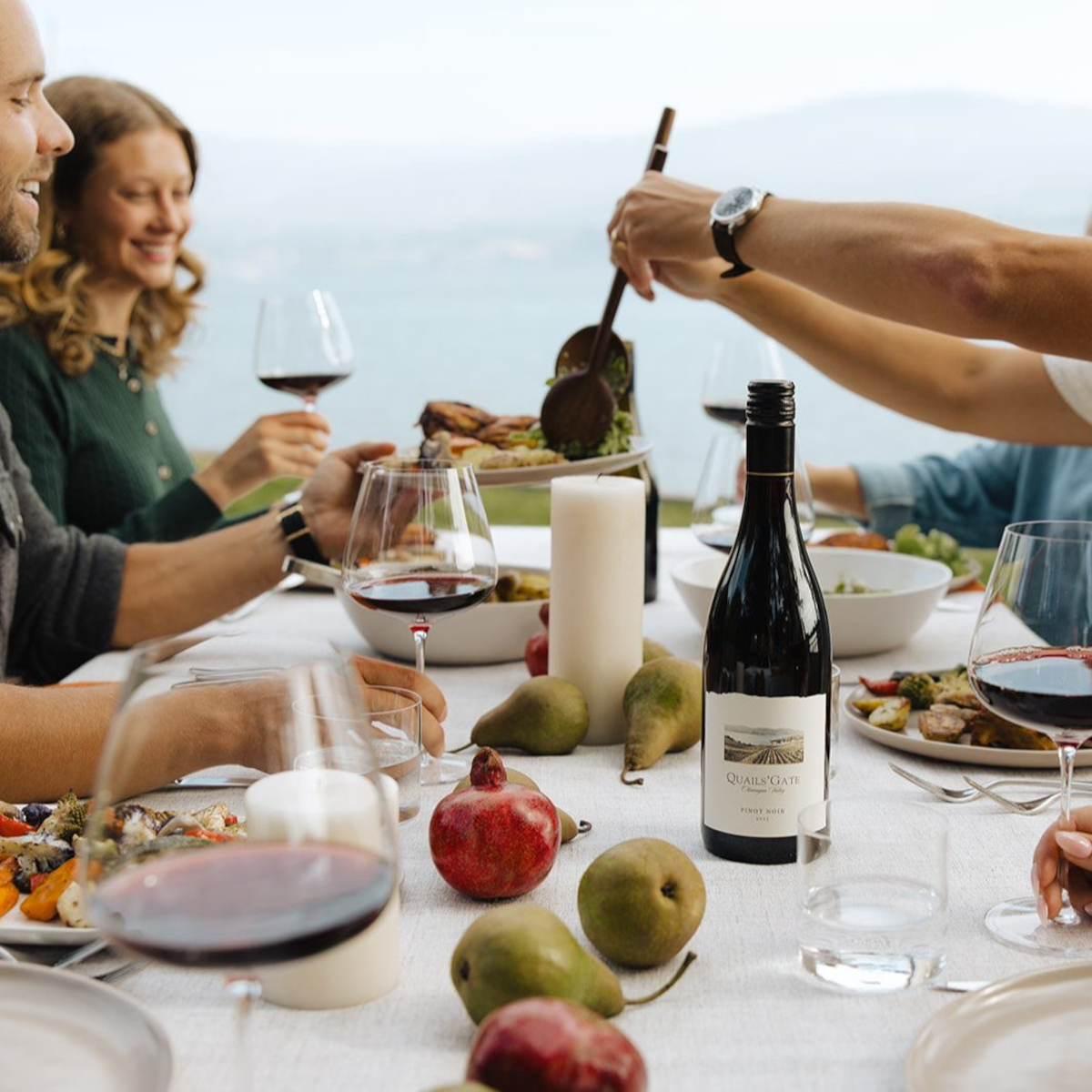 Product image for Quails' Gate Pinot Noir