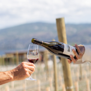 Product image for Quails' Gate Pinot Noir